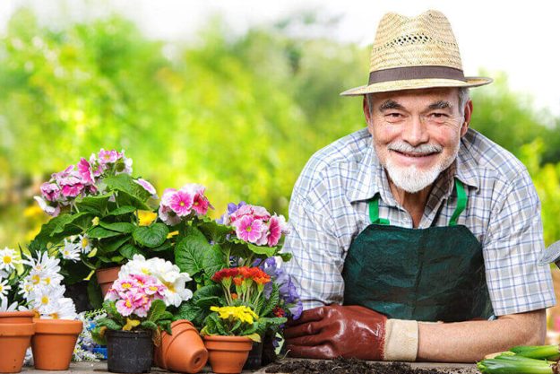 Five Important Benefits Of Gardening For Seniors