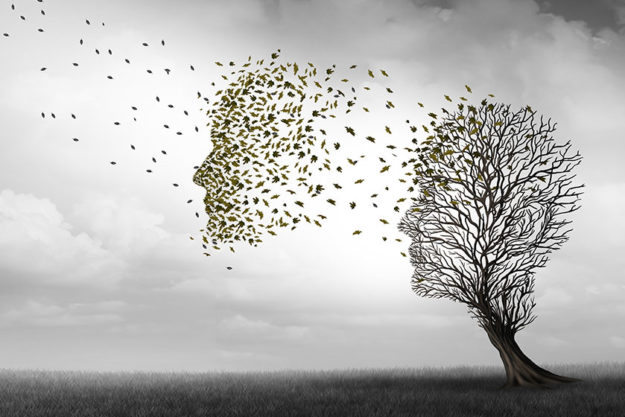 A-Guide-to-Memory-Loss-in-Seniors