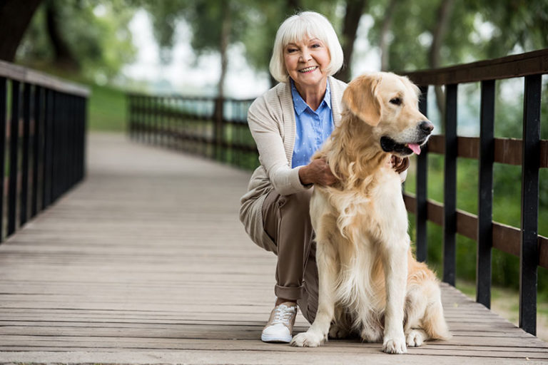 The Amazing Benefits Of Owning A Dog For Seniors