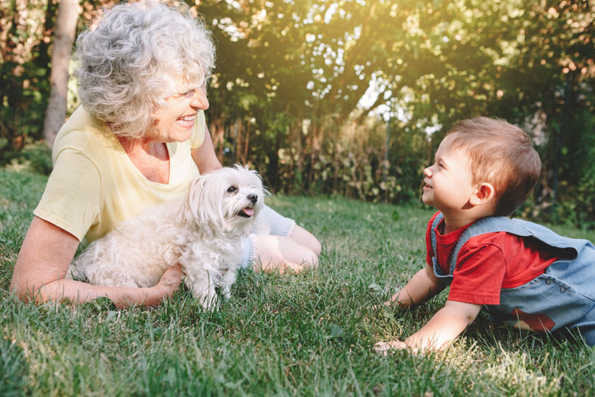 The Perks Of Having Pets For Seniors The Perks Of Having Pets For Seniors