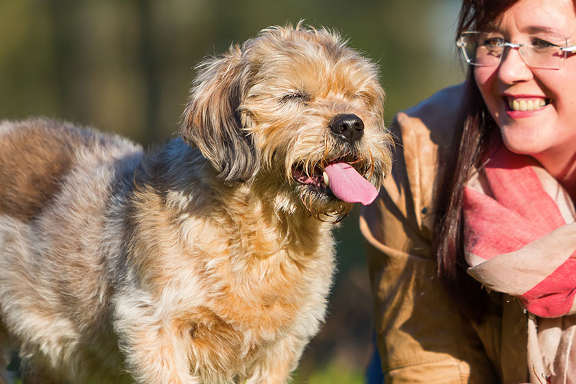 10 Considerations For Bringing A Pet Into Assisted Living
