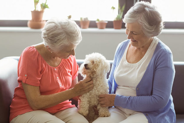 Understanding Benefits Of Socialization For Seniors Understanding Benefits Of Socialization For Seniors