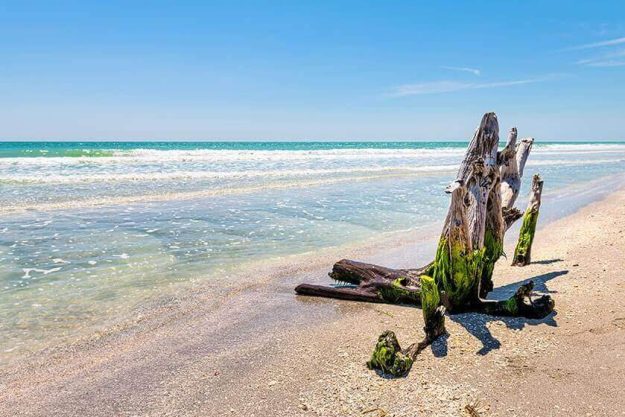 5 Reasons Many Retirees Fall In Love With Sanibel Island