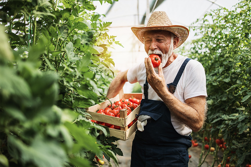 The Many Benefits Of Gardening For Seniors | Discovery Commons by ...