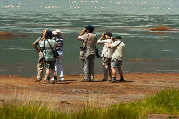 Group of seniors on photo safari in Africa observing animals Group of seniors on photo safari in Africa observing animals