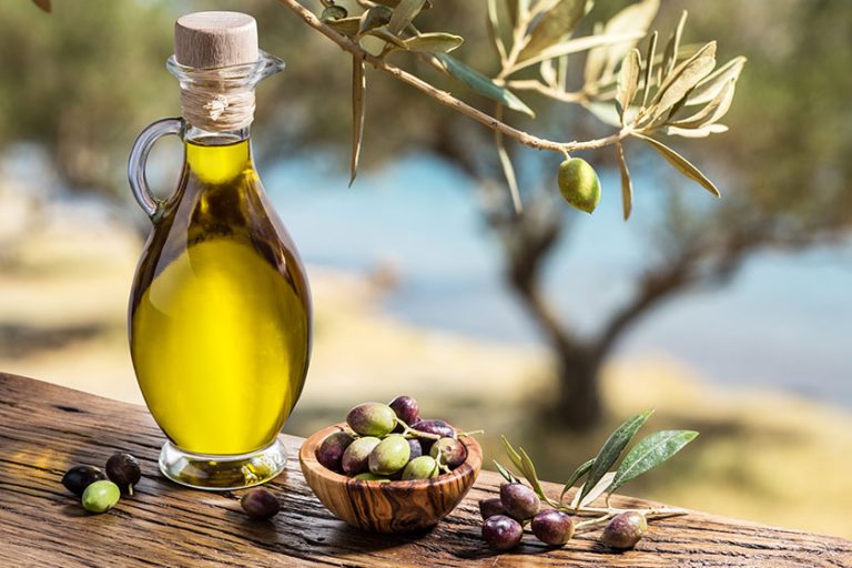 Olive oil and berries are on the wooden table under the olive tr Olive oil and berries are on the wooden table under the olive tr