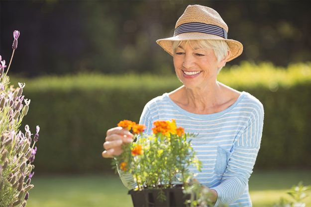 Senior woman gardening