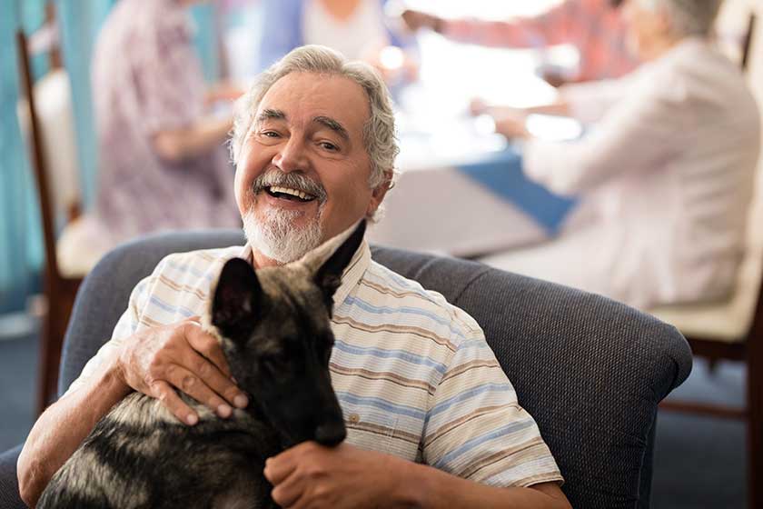 Senior man sitting with puppy on chair