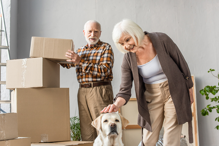 senior woman petting dog while husband arranging cardboard boxes senior woman petting dog while husband arranging cardboard boxes
