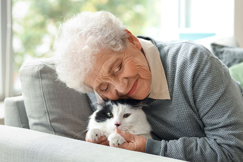 The Therapeutic Role Of Pets For Dementia Residents In Memory Care The Therapeutic Role Of Pets For Dementia Residents In Memory Care
