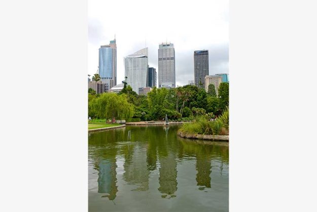 Sydney cbd view