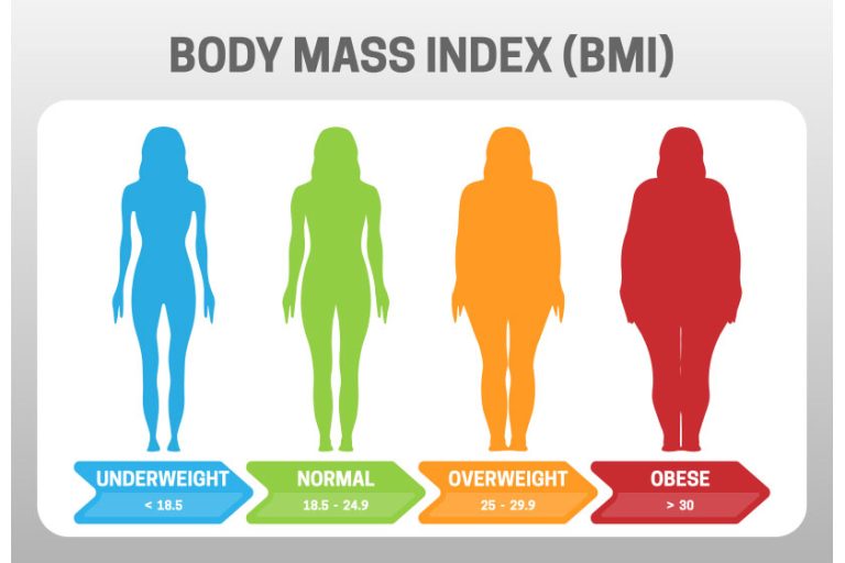 Bmi body mass index vector illustration woman silhouette underweight obese Bmi body mass index vector illustration woman silhouette underweight obese