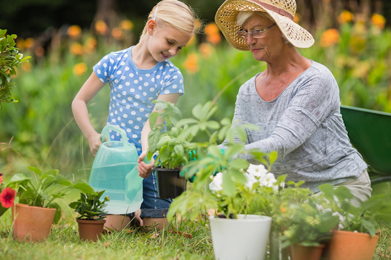 happy grandmother with her granddaughter gardening happy grandmother with her granddaughter gardening
