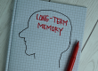 long term memory write book