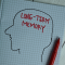 long term memory write book