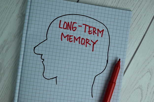 long term memory write book long term memory write book