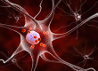 neurons in parkinsons disease