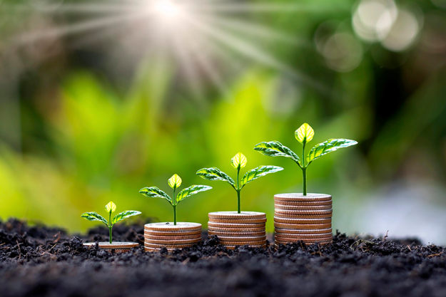 young tree sits pile coins grows fertile soil ideas