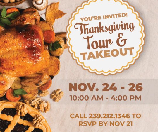 DCCPT 0198 Slider Thanksgiving Tour Takeout 11 24 25 LG 1200 x 1000